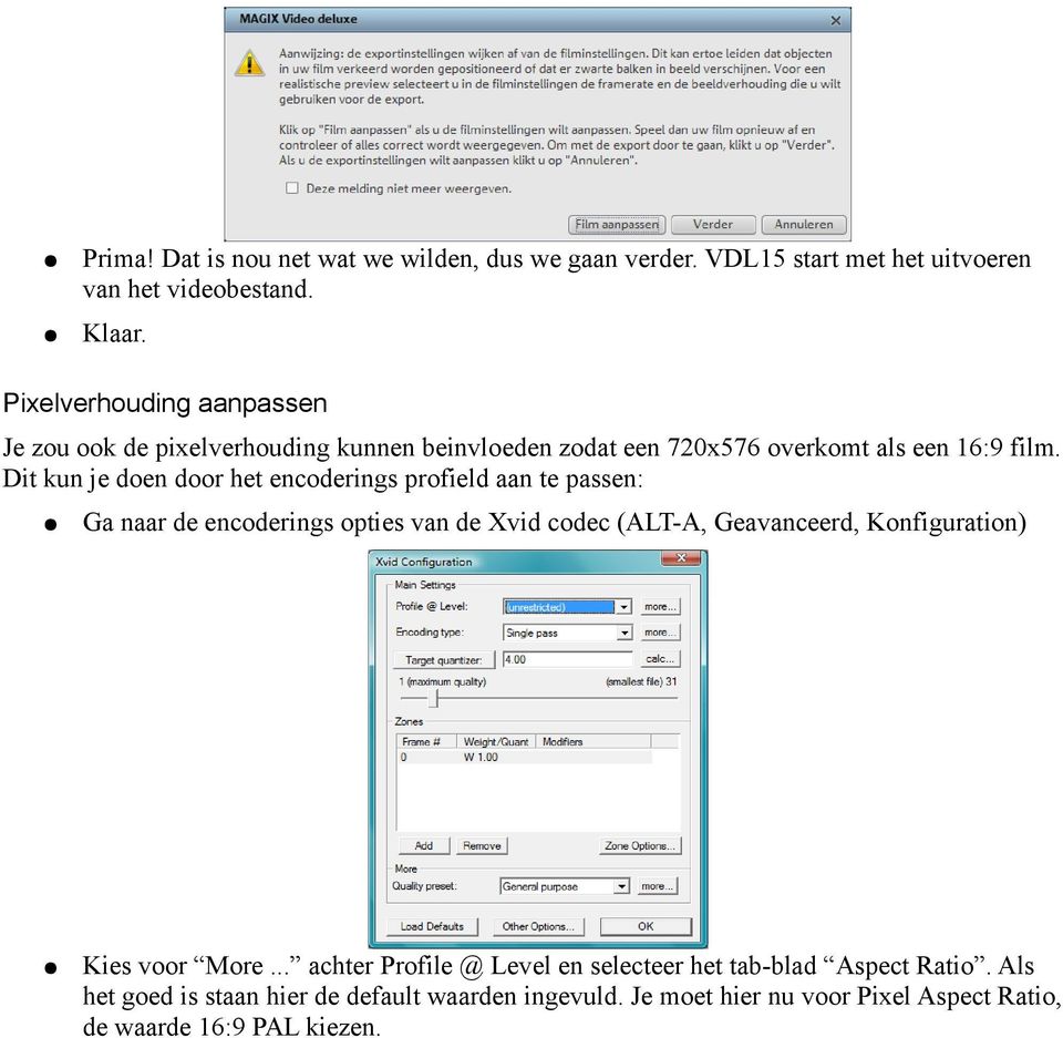 Dit kun je doen door het encoderings profield aan te passen: Ga naar de encoderings opties van de Xvid codec (ALT-A, Geavanceerd, Konfiguration)