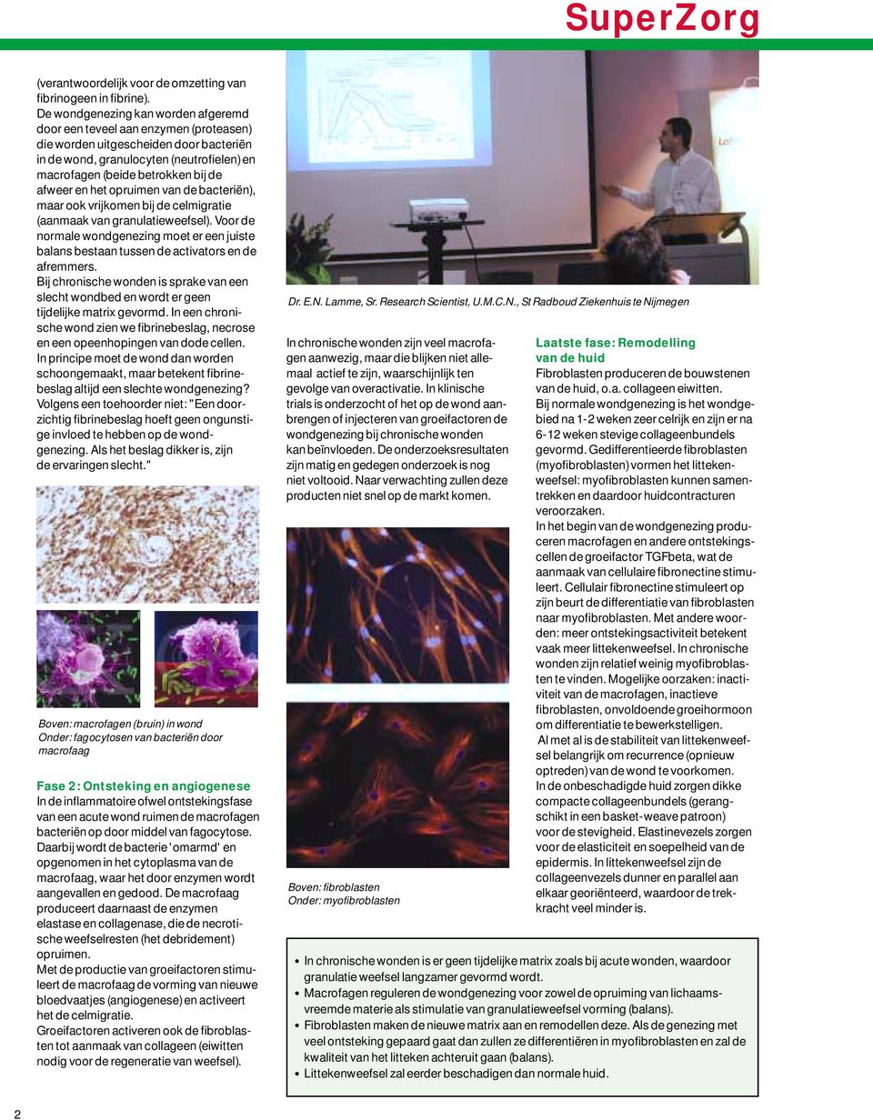 afweer en het opruimen van de bacteriën), maar ook vrijkomen bij de celmigratie (aanmaak van granulatieweefsel).