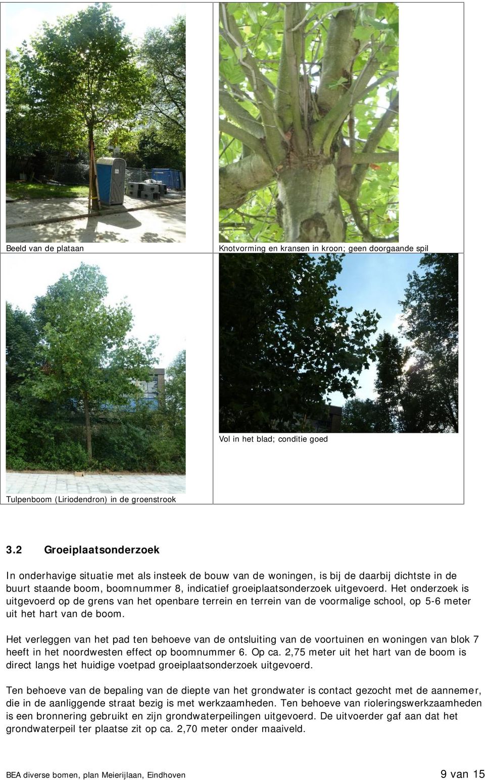 Het onderzoek is uitgevoerd op de grens van het openbare terrein en terrein van de voormalige school, op 5-6 meter uit het hart van de boom.