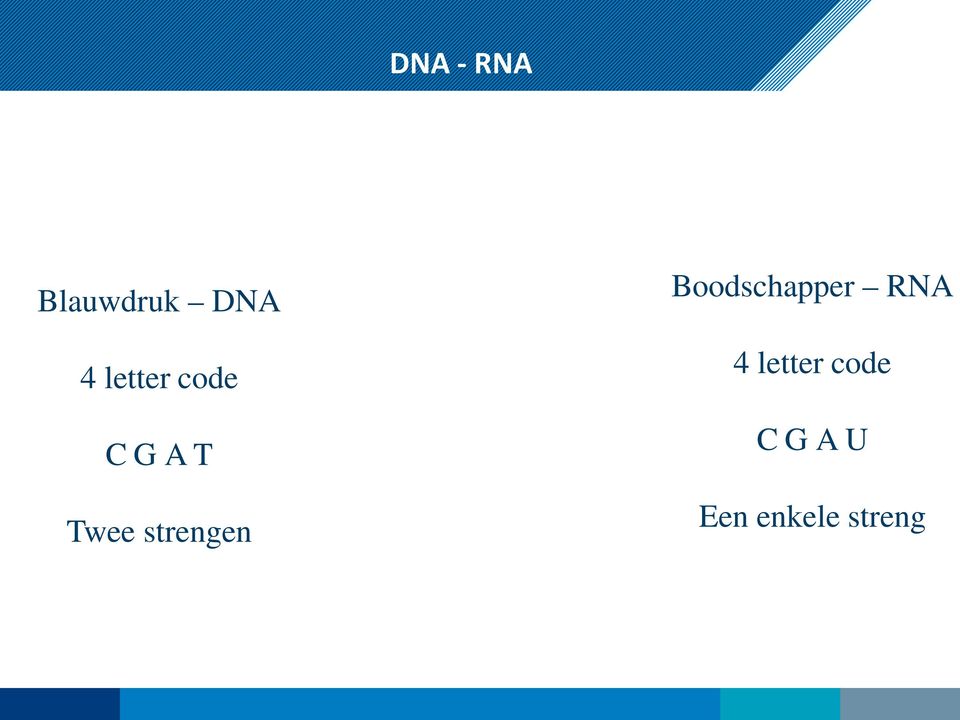 strengen Boodschapper RNA 4