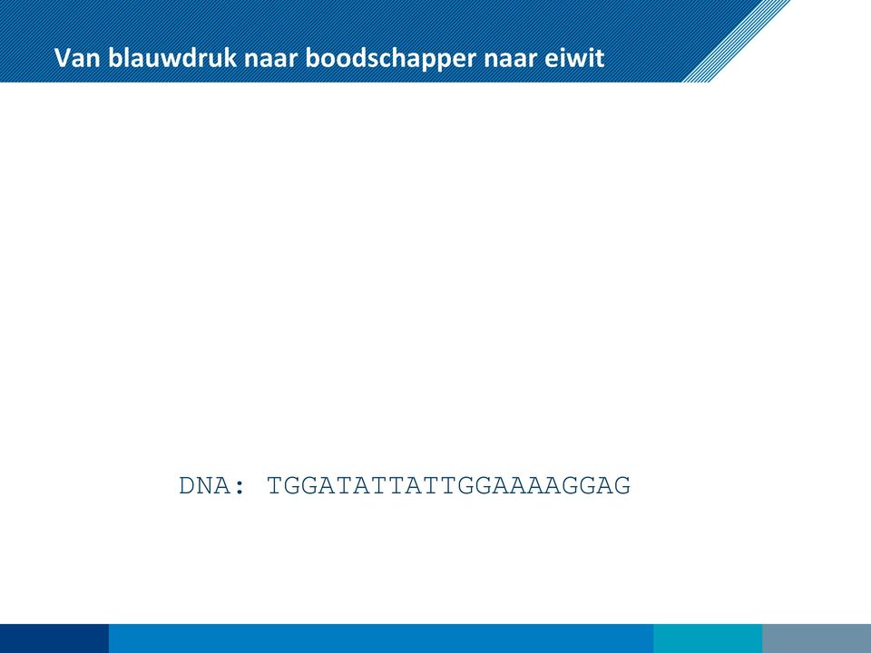 naar eiwit DNA: