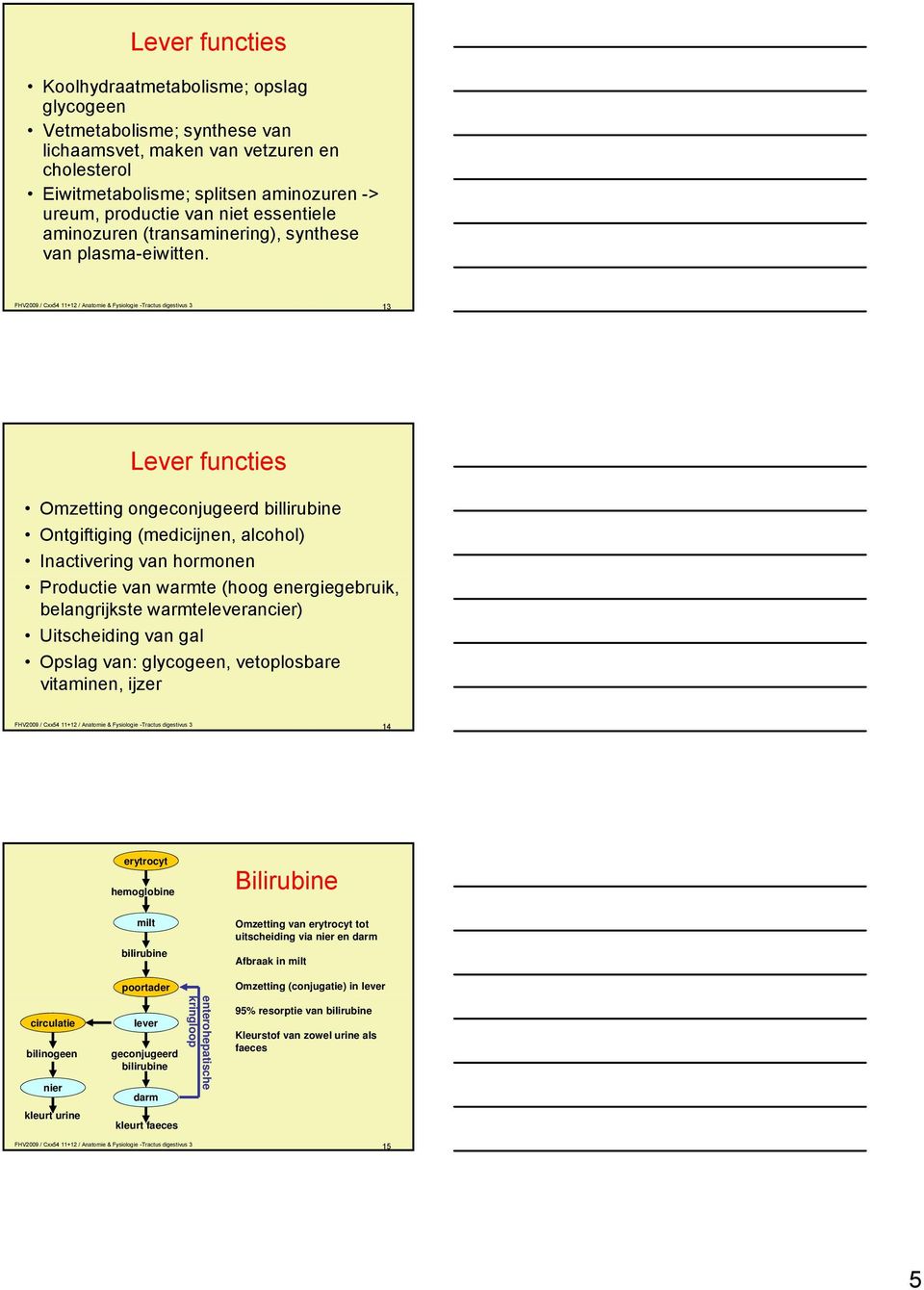 FHV2009 / Cxx54 11+12 / Anatomie & Fysiologie -Tractus digestivus 3 13 Lever functies Omzetting ongeconjugeerd billirubine Ontgiftiging (medicijnen, alcohol) Inactivering van hormonen Productie van