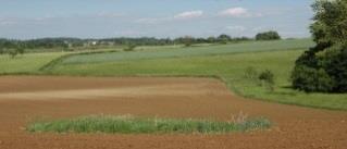 vergroeningspremie is het belangrijk om te weten welke oppervlakte van uw bedrijfsareaal subsidiabel bouwland is.