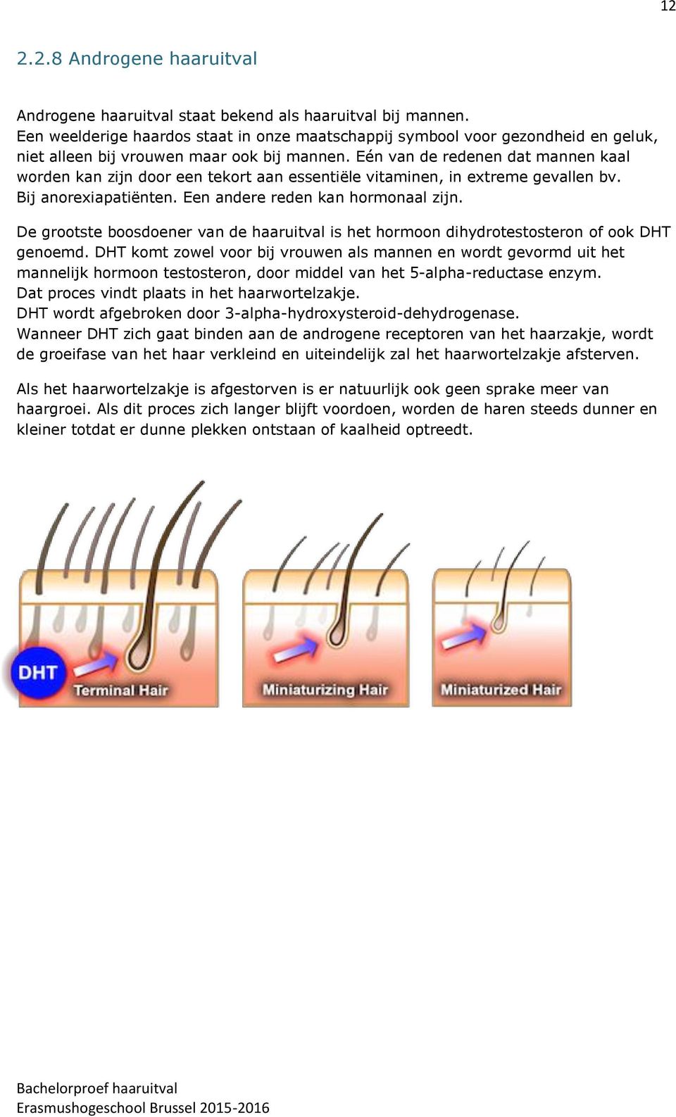 Eén van de redenen dat mannen kaal worden kan zijn door een tekort aan essentiële vitaminen, in extreme gevallen bv. Bij anorexiapatiënten. Een andere reden kan hormonaal zijn.