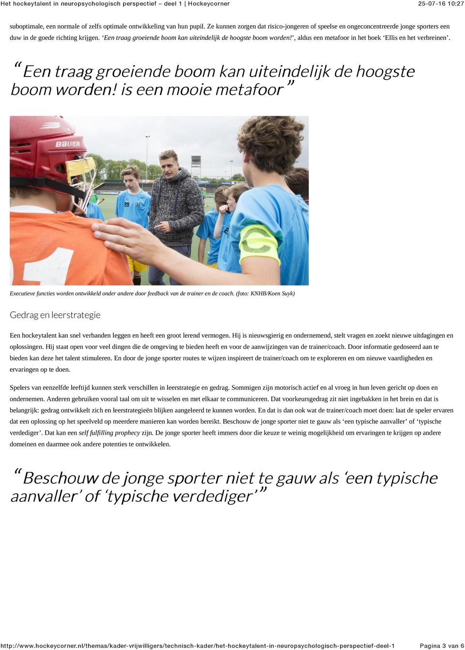 is een mooie metafoor Executieve functies worden ontwikkeld onder andere door feedback van de trainer en de coach.