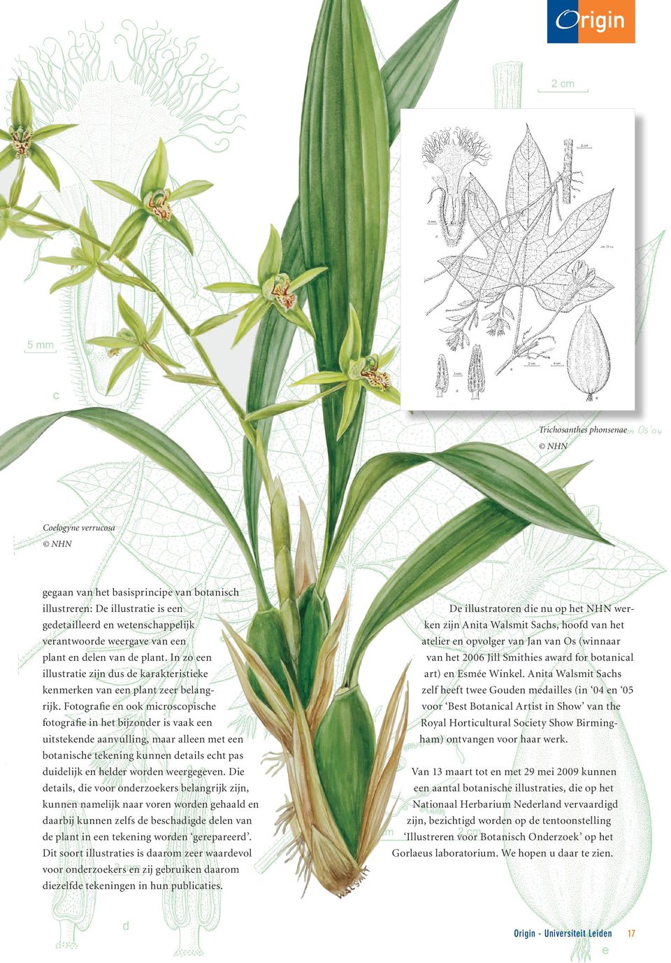 Fotografie en ook microscopische fotografie in het bijzonder is vaak een uitstekende aanvulling, maar alleen met een botanische tekening kunnen details echt pas duidelijk en helder worden weergegeven.