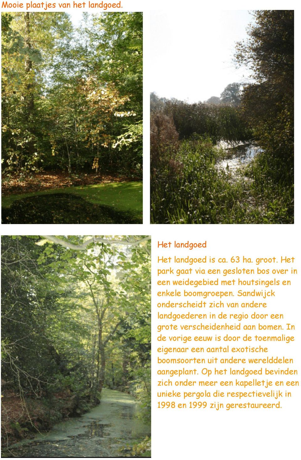 Sandwijck onderscheidt zich van andere landgoederen in de regio door een grote verscheidenheid aan bomen.