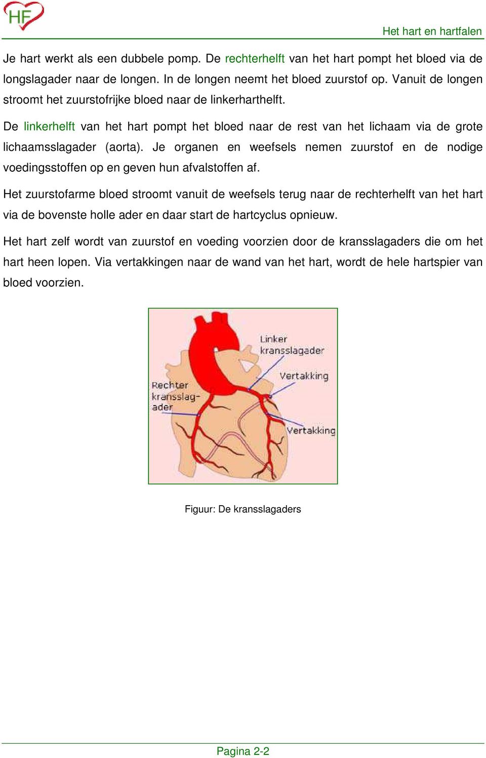 Je organen en weefsels nemen zuurstof en de nodige voedingsstoffen op en geven hun afvalstoffen af.