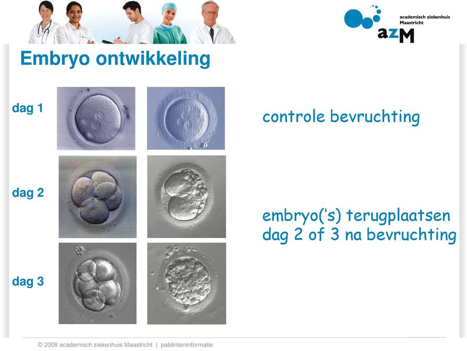 embryo( s) terugplaatsen