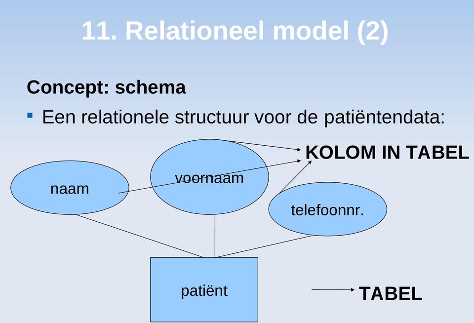 voor de patiëntendata: naam voornaam