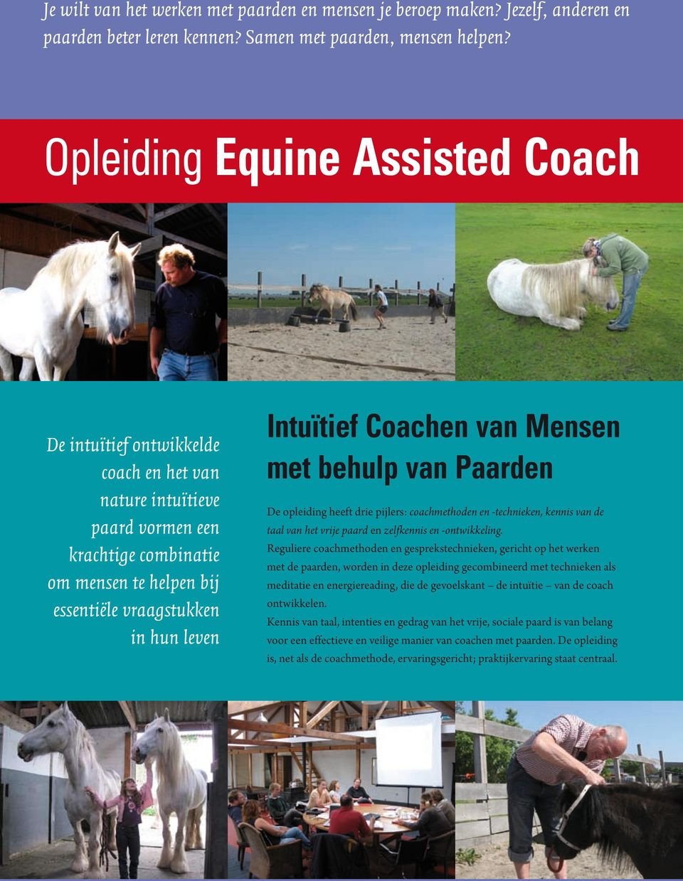 Intuïtief Coachen van Mensen met behulp van Paarden De opleiding heeft drie pijlers: coachmethoden en -technieken, kennis van de taal van het vrije paard en zelfkennis en -ontwikkeling.