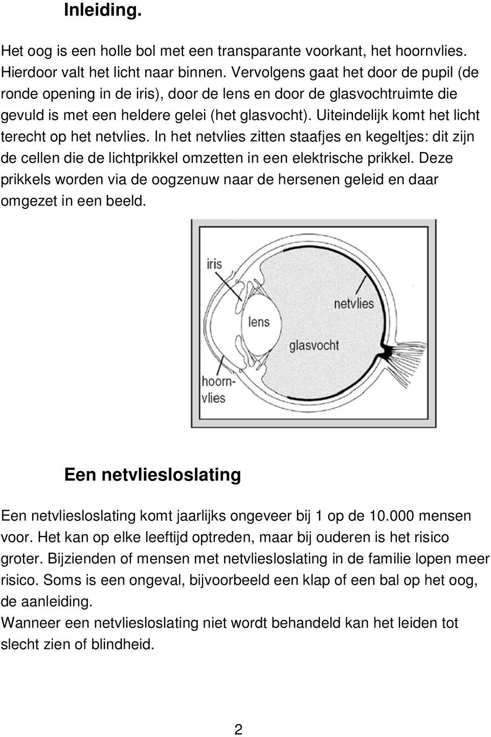 Uiteindelijk komt het licht terecht op het netvlies. In het netvlies zitten staafjes en kegeltjes: dit zijn de cellen die de lichtprikkel omzetten in een elektrische prikkel.