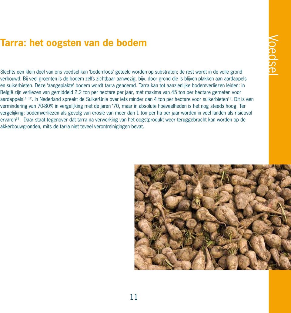 Tarra kan tot aanzienlijke bodemverliezen leiden: in België zijn verliezen van gemiddeld 2.2 ton per hectare per jaar, met maxima van 45 ton per hectare gemeten voor aardappels 11, 12.