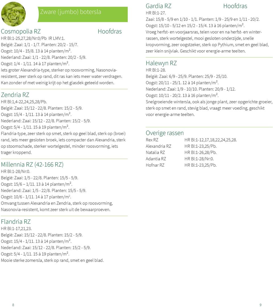 Kan zonder of met weinig krijt op het glasdek geteeld worden. Zendria RZ HR Bl:1,4-22,24,25,28/Pb. België: Zaai: 15/12-22/8. Planten: 15/2-5/9. Oogst: 15/4-1/11. 13 à 14 planten/m².