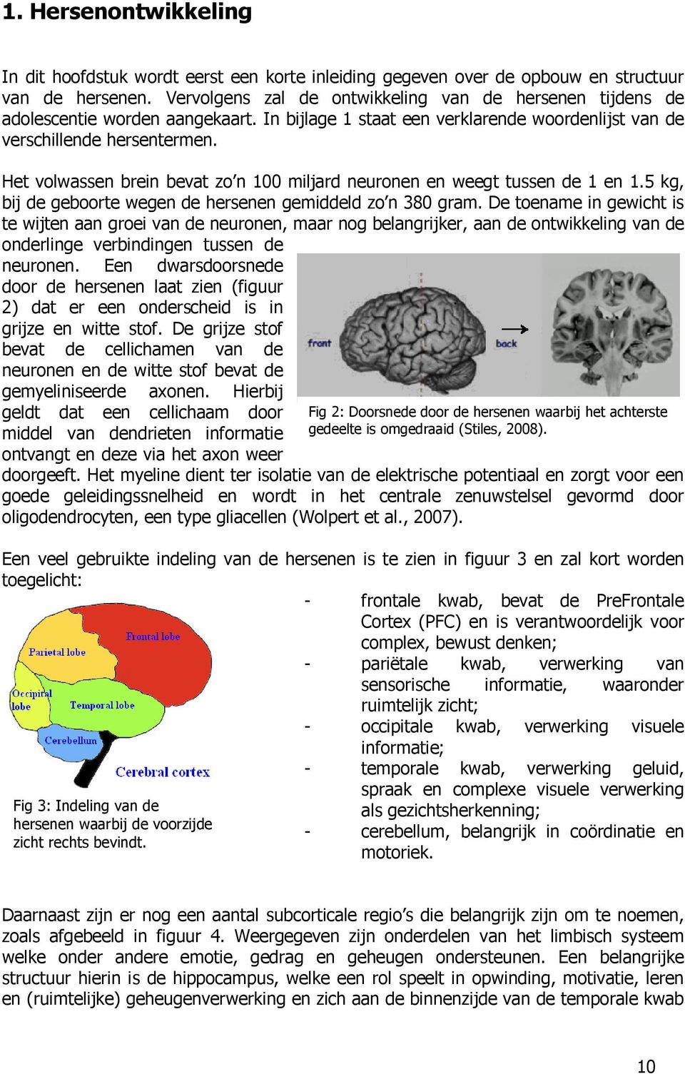 Het volwassen brein bevat zo n 100 miljard neuronen en weegt tussen de 1 en 1.5 kg, bij de geboorte wegen de hersenen gemiddeld zo n 380 gram.