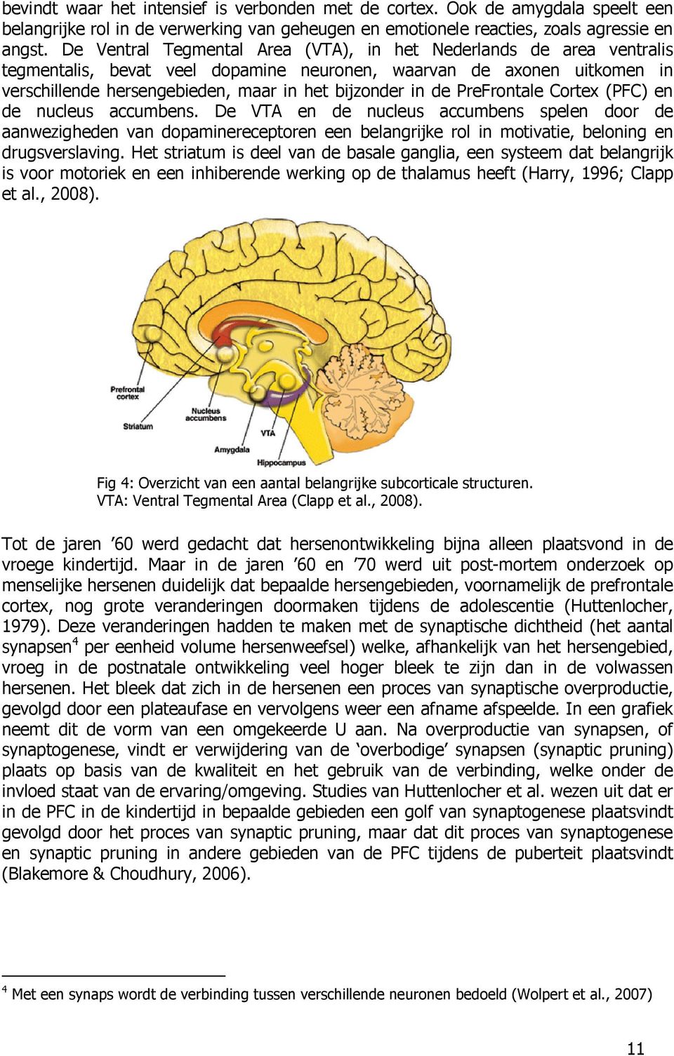 PreFrontale Cortex (PFC) en de nucleus accumbens. De VTA en de nucleus accumbens spelen door de aanwezigheden van dopaminereceptoren een belangrijke rol in motivatie, beloning en drugsverslaving.