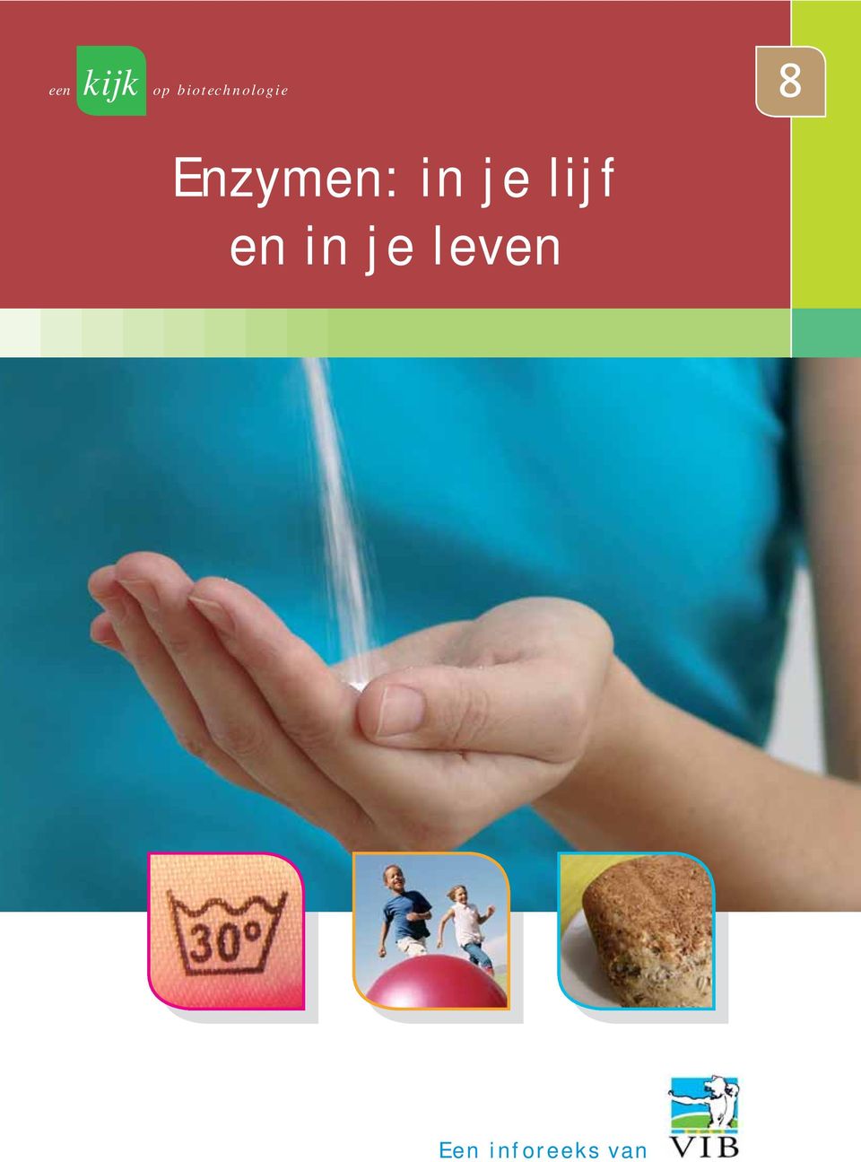 Enzymen: in je lijf