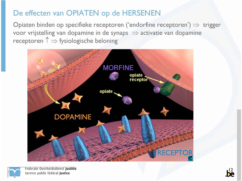 vrijstelling van dopamine in de synaps activatie van