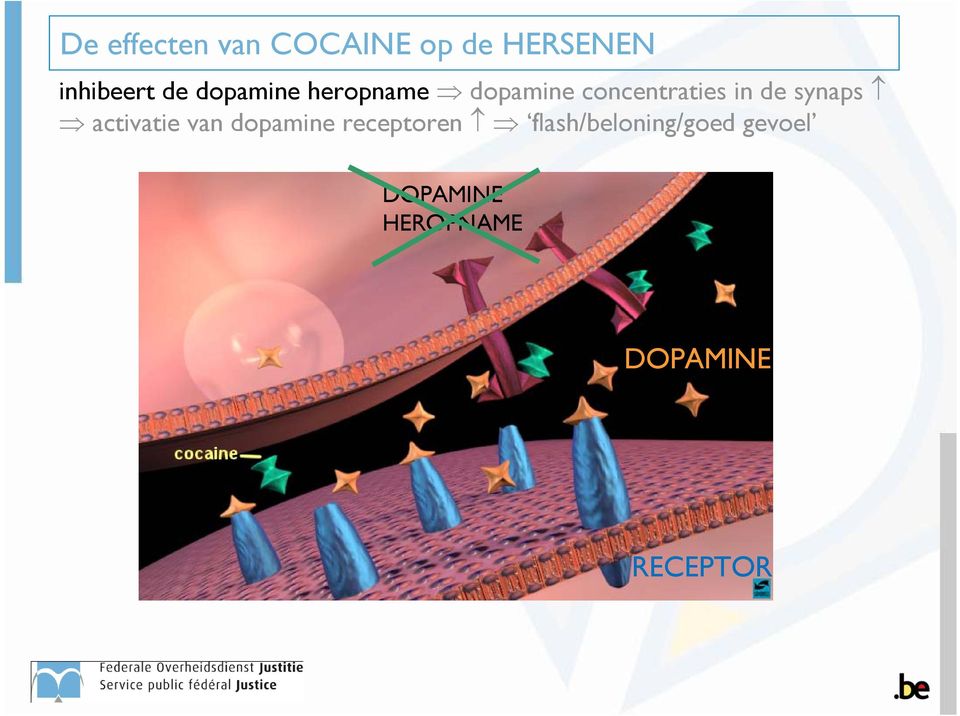synaps activatie van dopamine receptoren