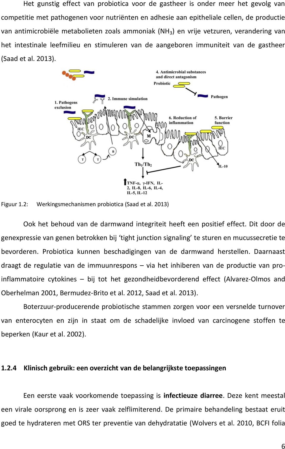 2: Werkingsmechanismen probiotica (Saad et al. 2013) Ook het behoud van de darmwand integriteit heeft een positief effect.