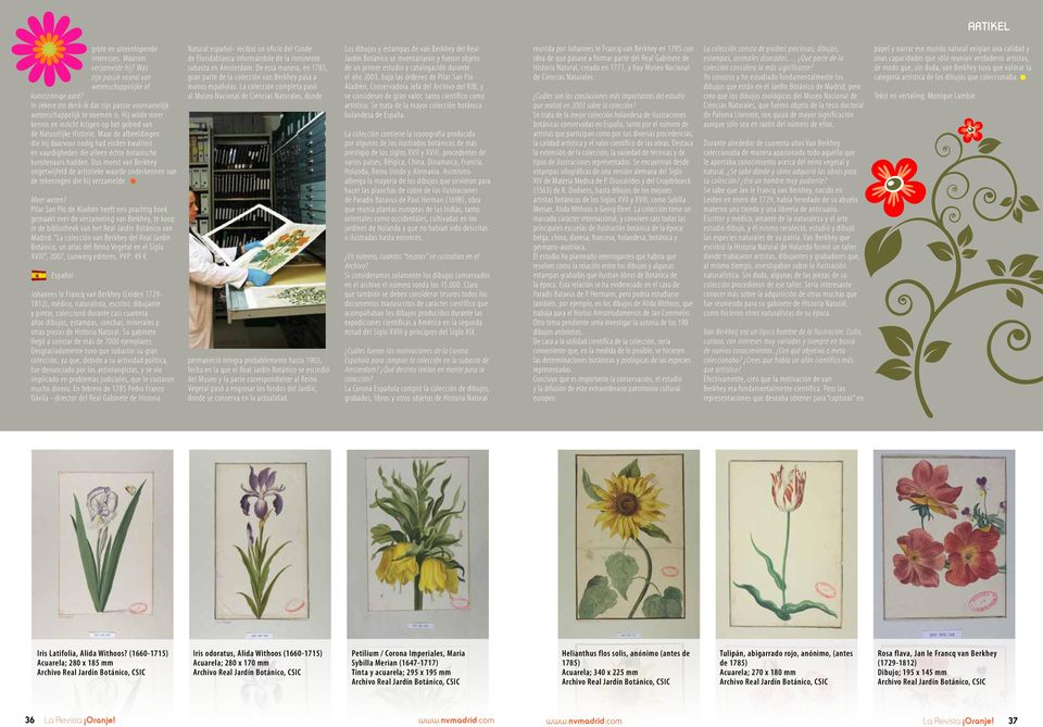 Maar de afbeeldingen die hij daarvoor nodig had eisden kwaliteit en vaardigheden die alleen échte botanische kunstenaars hadden.