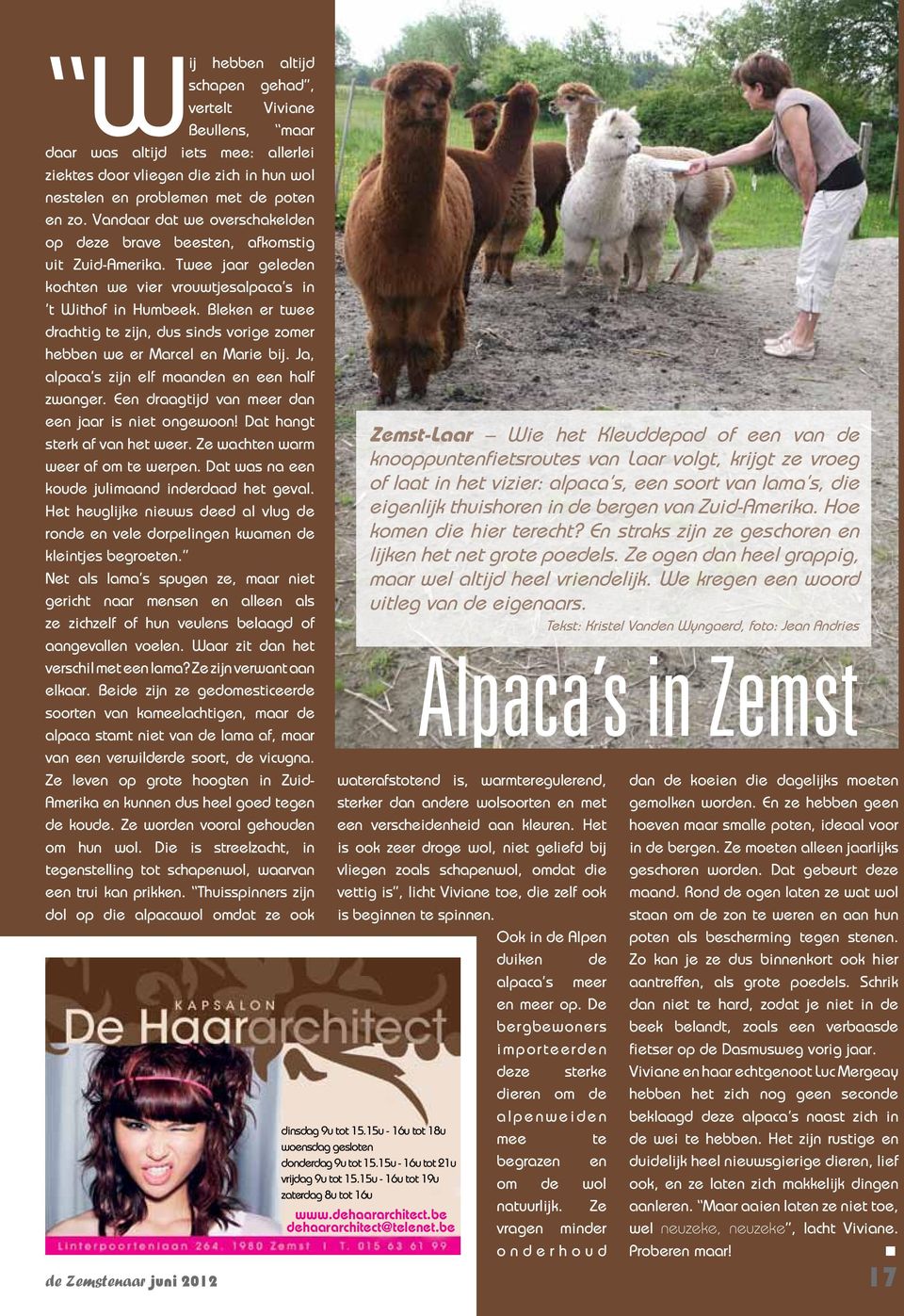 Bleken er twee drachtig te zijn, dus sinds vorige zomer hebben we er Marcel en Marie bij. Ja, alpaca s zijn elf maanden en een half zwanger. Een draagtijd van meer dan een jaar is niet ongewoon!