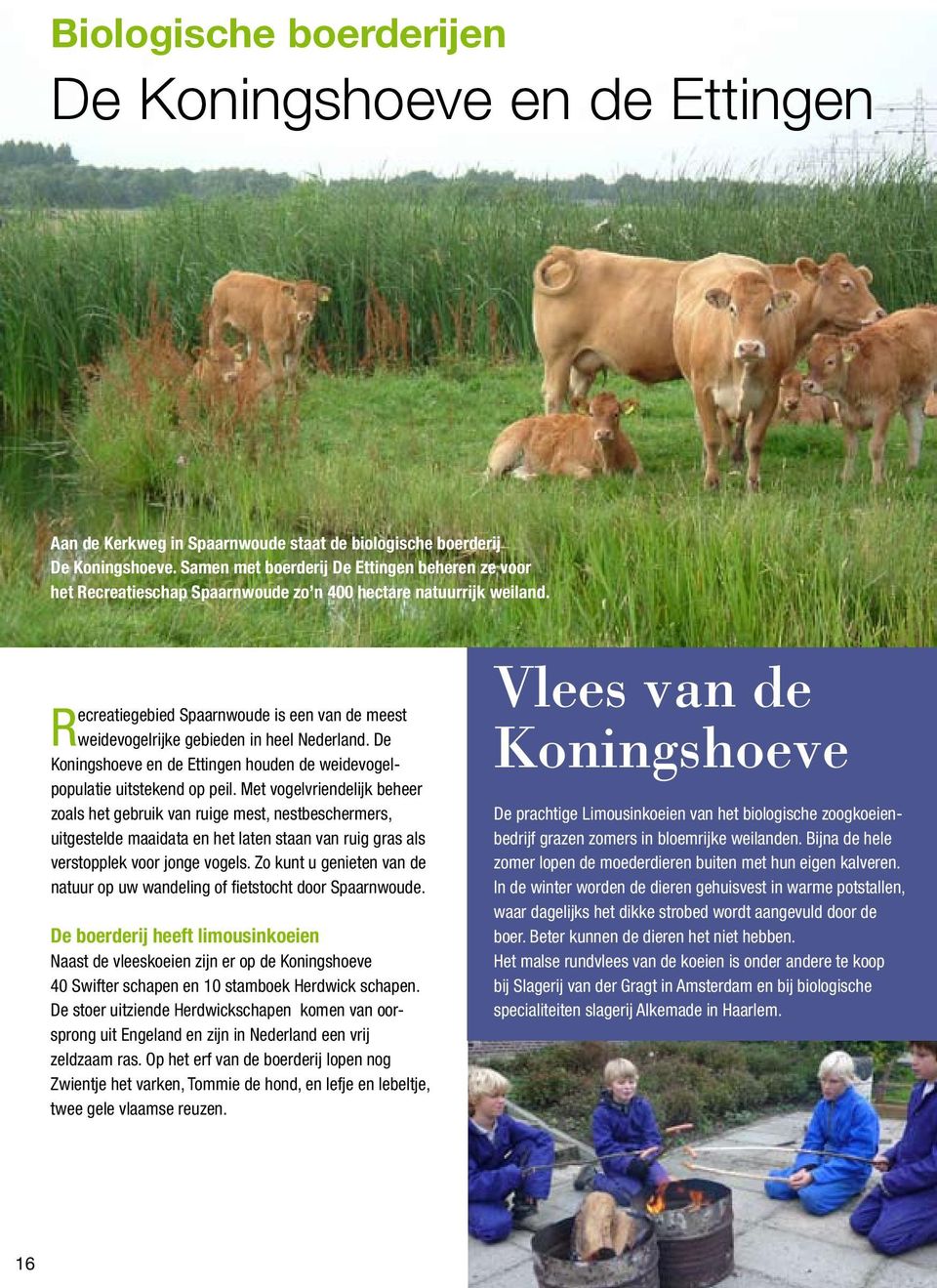 Recreatiegebied Spaarnwoude is een van de meest weidevogelrijke gebieden in heel Nederland. De Koningshoeve en de Ettingen houden de weidevogelpopulatie uitstekend op peil.