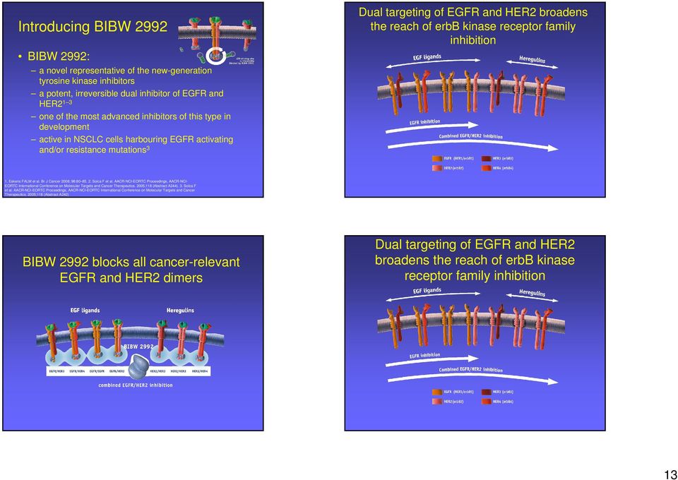 Eskens FALM et al. Br J Cancer 2008; 98:80 85. 2. Solca F et al. AACR-CI-EORTC Proceedings, AACR-CIEORTC International Conference on Molecular Targets and Cancer Therapeutics.