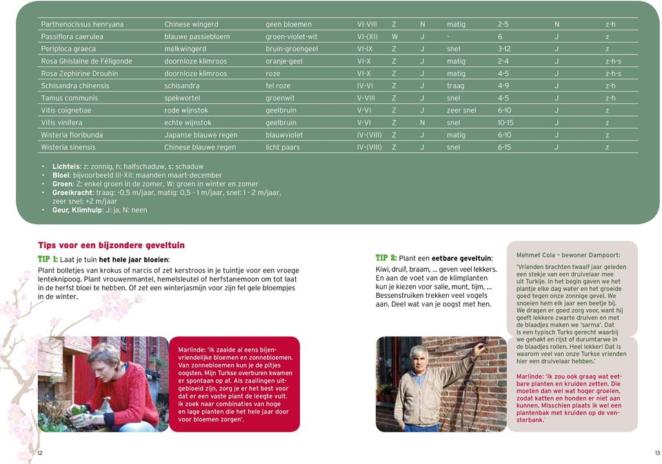 Schisandra chinensis schisandra fel roze IV-VI Z J traag 4-9 J z-h Tamus communis spekwortel groenwit V-VIII Z J snel 4-5 J z-h Vitis coignetiae rode wijnstok geelbruin V-VI Z J zeer snel 6-10 J z