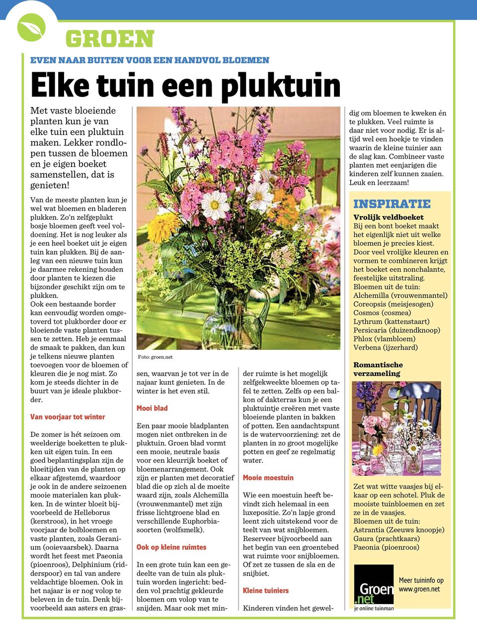 Er is altijd wel een hoekje te vinden waarin de kleine tuinier aan de slag kan. Combineer vaste planten met eenjarigen die kinderen zelf kunnen zaaien. Leuk en leerzaam!