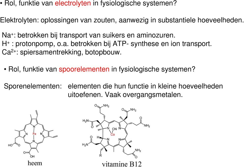 Na + : betrokken bij transport van suikers en aminozuren. H + : protonpomp, o.a. betrokken bij ATP- synthese en ion transport.