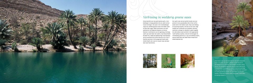 Wadi s kenmerken zich door palmbomen met felgroene bladeren en diverse bloemen in alle kleuren van de regenboog.