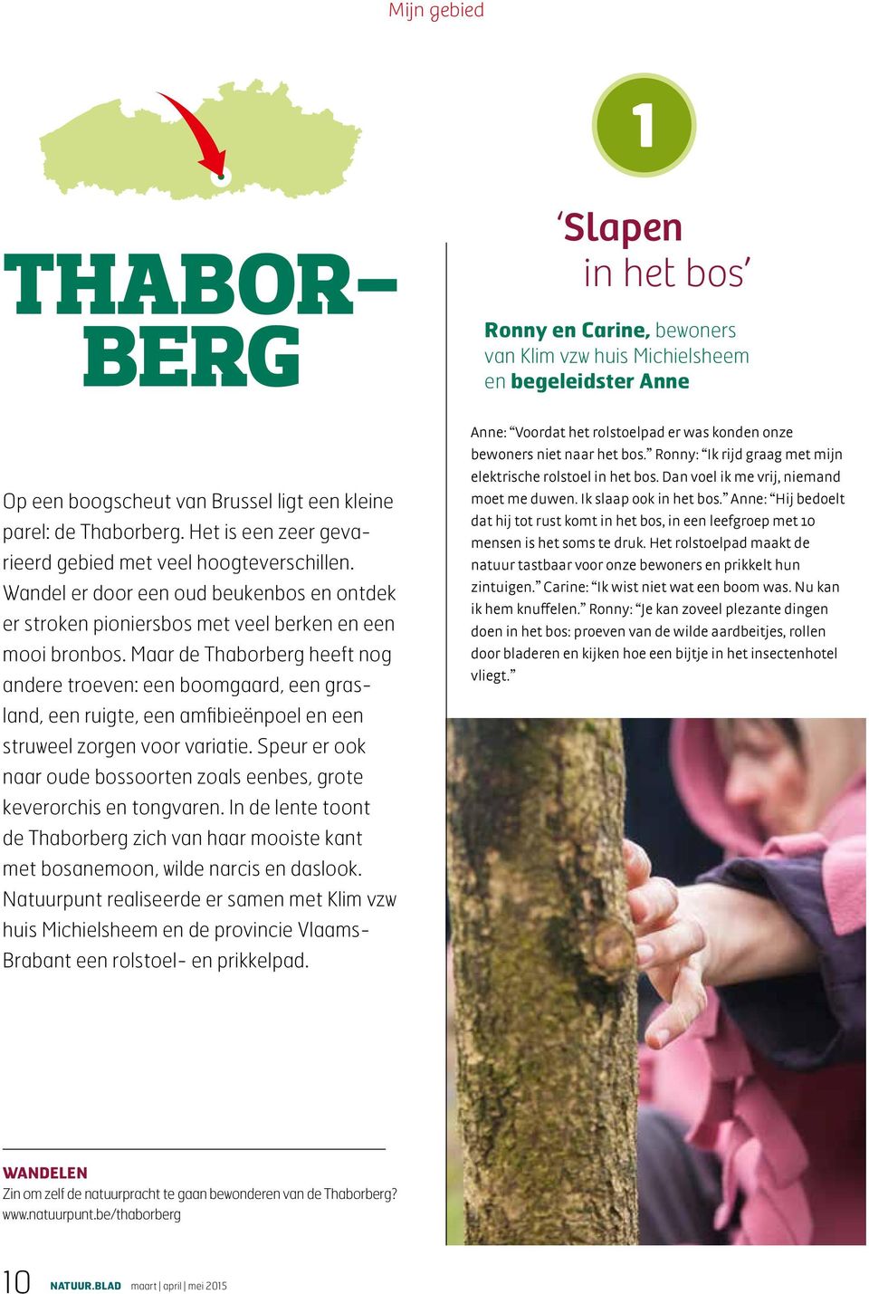 Maar de Thaborberg heeft nog andere troeven: een boomgaard, een grasland, een ruigte, een amfibieënpoel en een struweel zorgen voor variatie.