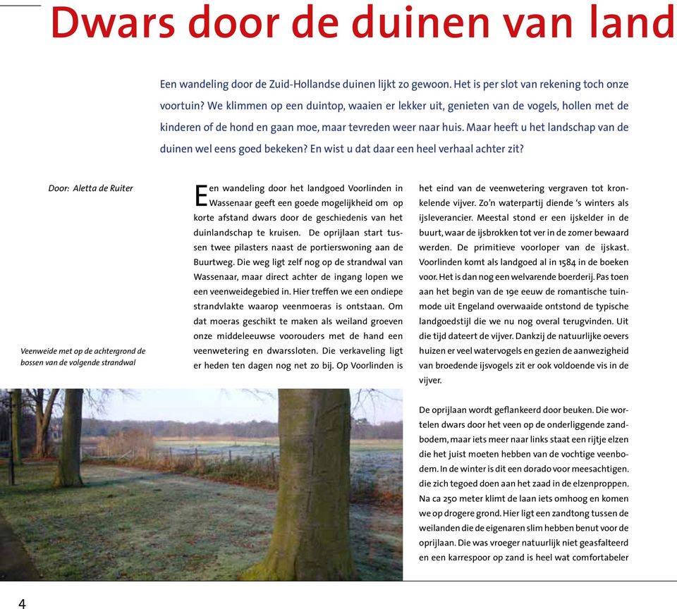 Maar heeft u het landschap van de duinen wel eens goed bekeken? En wist u dat daar een heel verhaal achter zit?