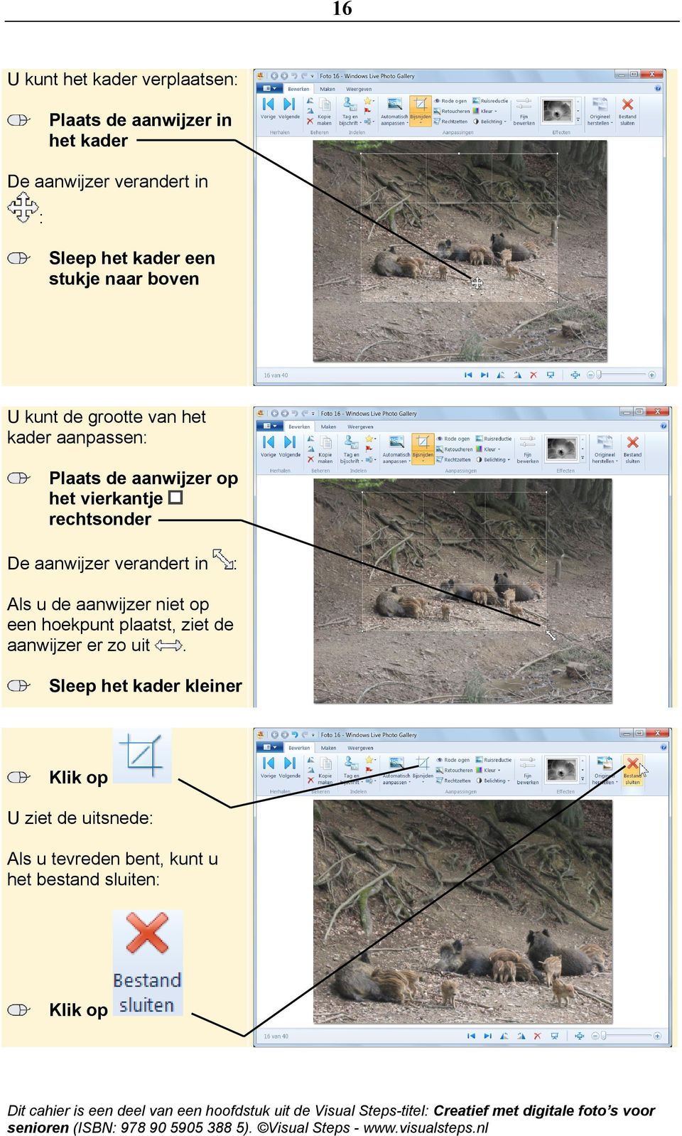 vierkantje rechtsonder De aanwijzer verandert in : Als u de aanwijzer niet op een hoekpunt plaatst, ziet