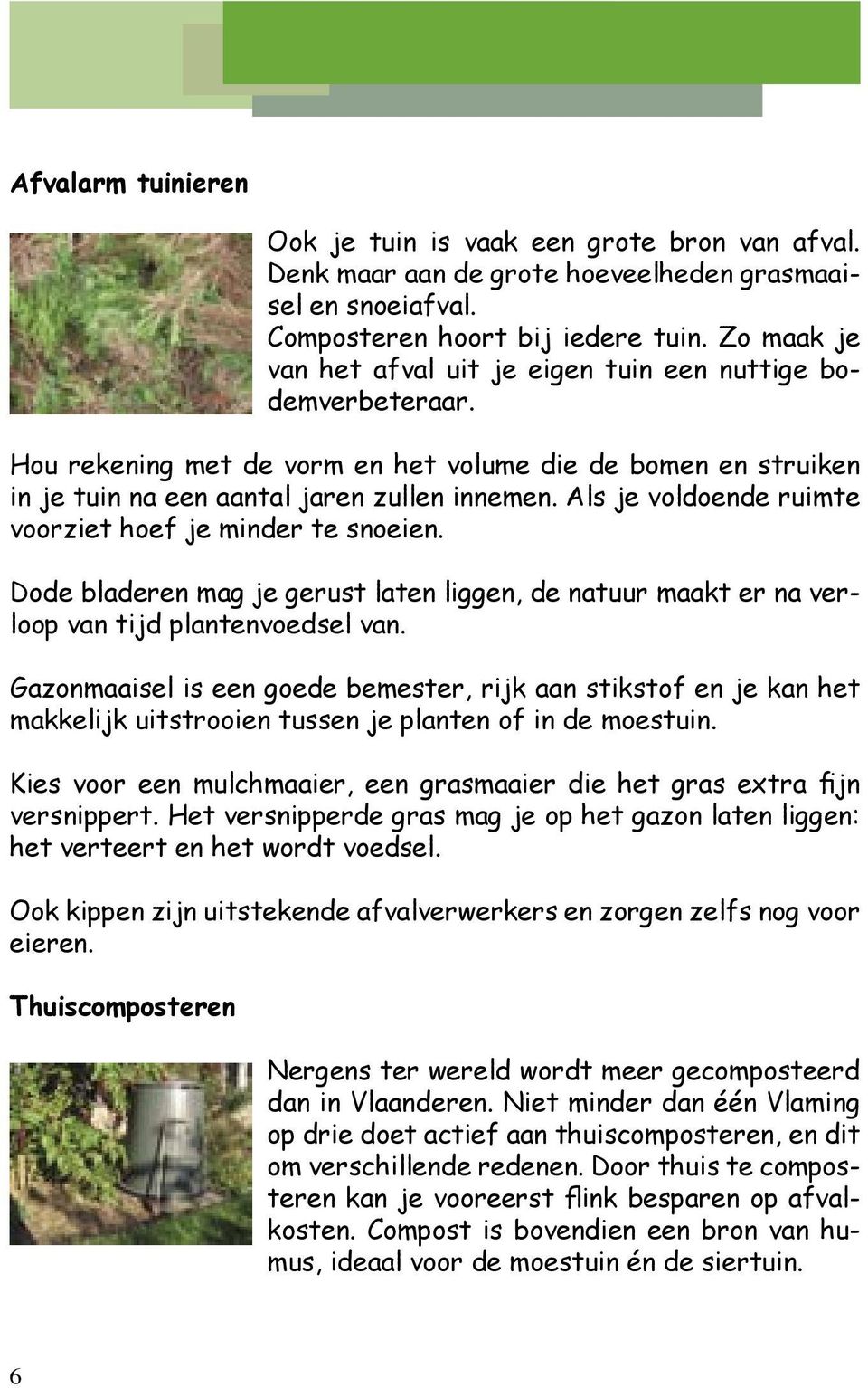 Als je voldoende ruimte voorziet hoef je minder te snoeien. Dode bladeren mag je gerust laten liggen, de natuur maakt er na verloop van tijd plantenvoedsel van.