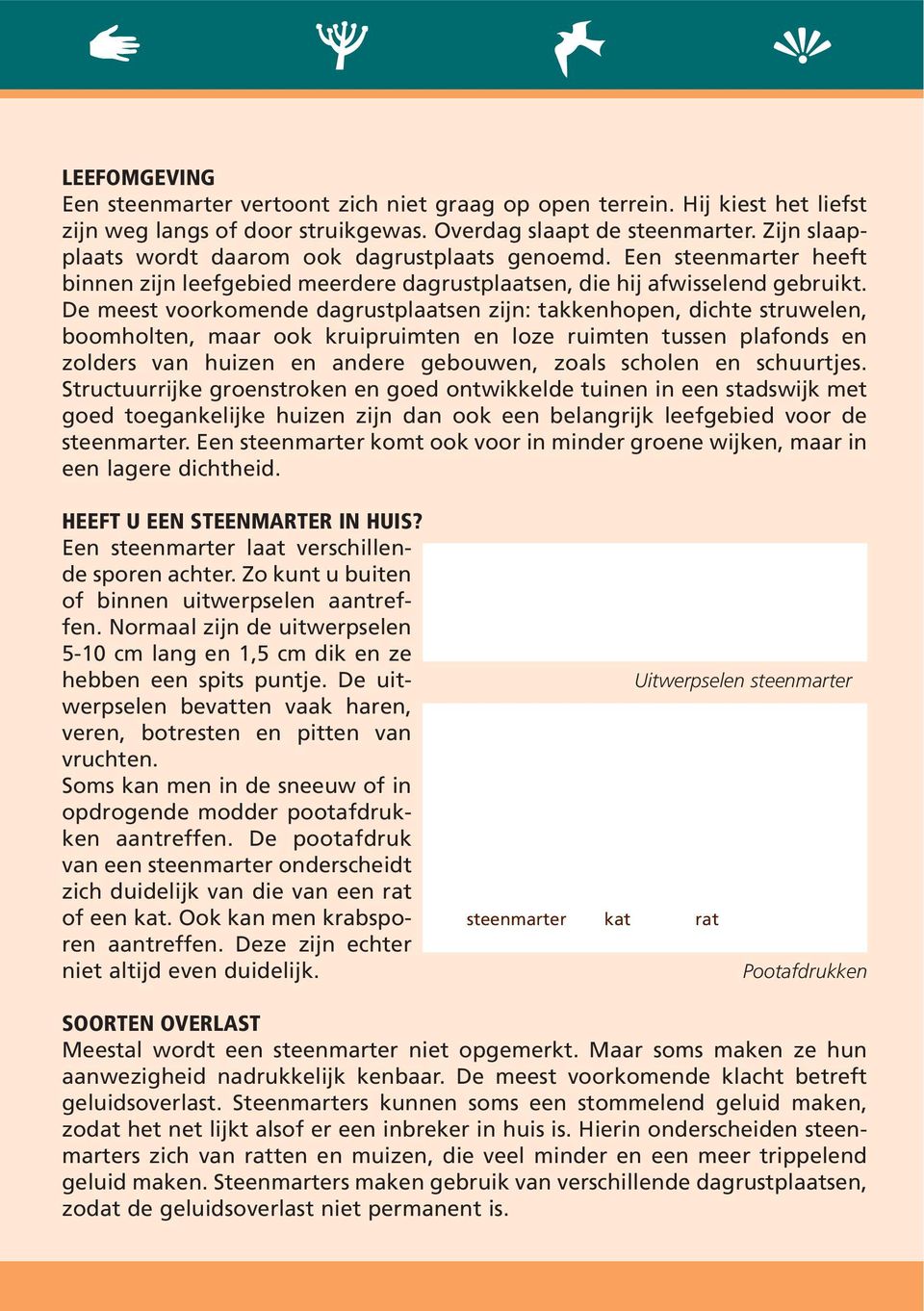 De meest voorkomende dagrustplaatsen zijn: takkenhopen, dichte struwelen, boomholten, maar ook kruipruimten en loze ruimten tussen plafonds en zolders van huizen en andere gebouwen, zoals scholen en