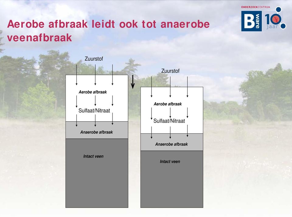 Sulfaat/Nitraat Aerobe afbraak Sulfaat/Nitraat