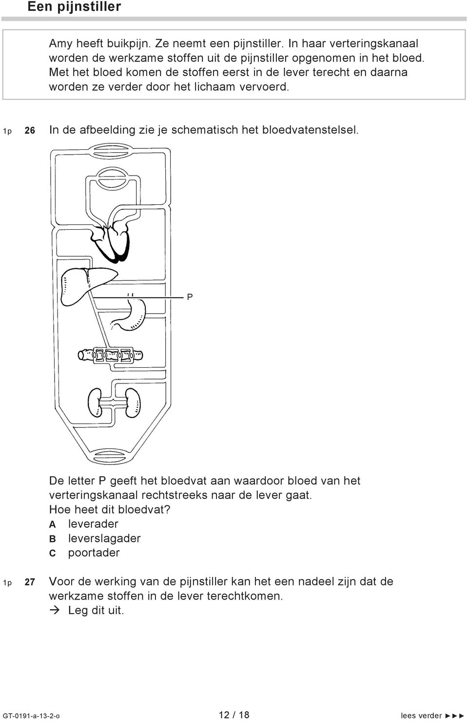 1p 26 In de afbeelding zie je schematisch het bloedvatenstelsel.