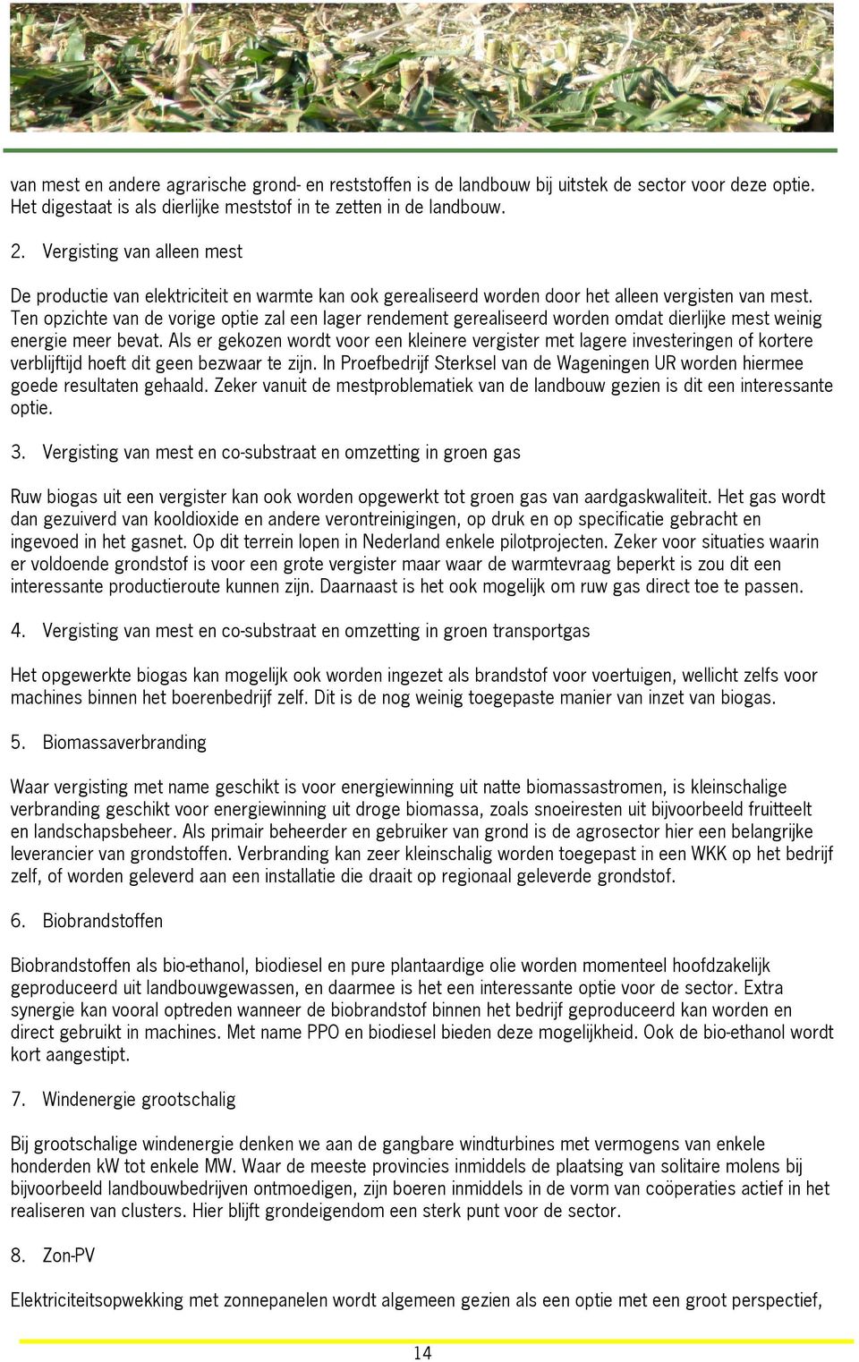 Ten opzichte van de vorige optie zal een lager rendement gerealiseerd worden omdat dierlijke mest weinig energie meer bevat.