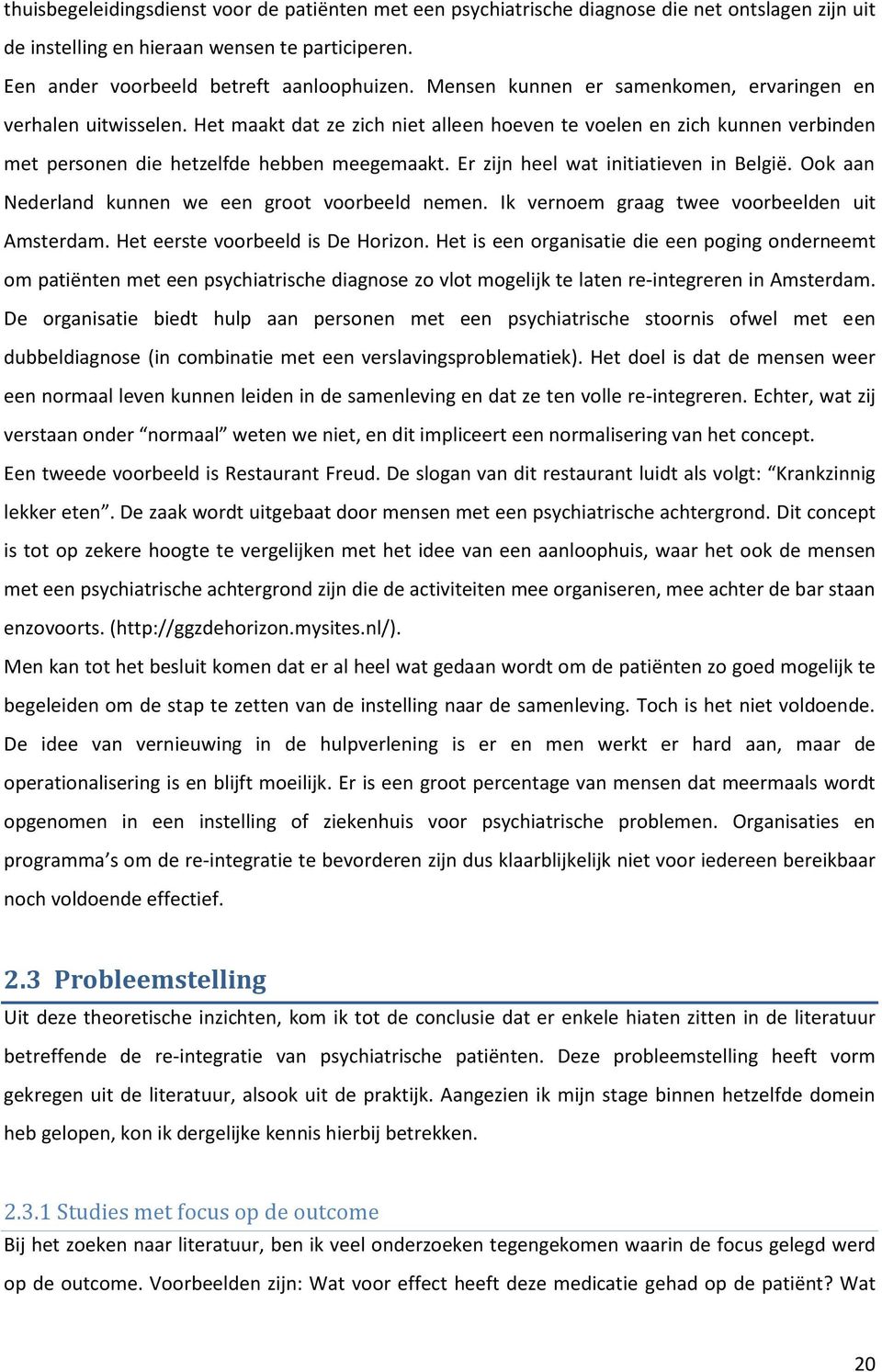 Er zijn heel wat initiatieven in België. Ook aan Nederland kunnen we een groot voorbeeld nemen. Ik vernoem graag twee voorbeelden uit Amsterdam. Het eerste voorbeeld is De Horizon.