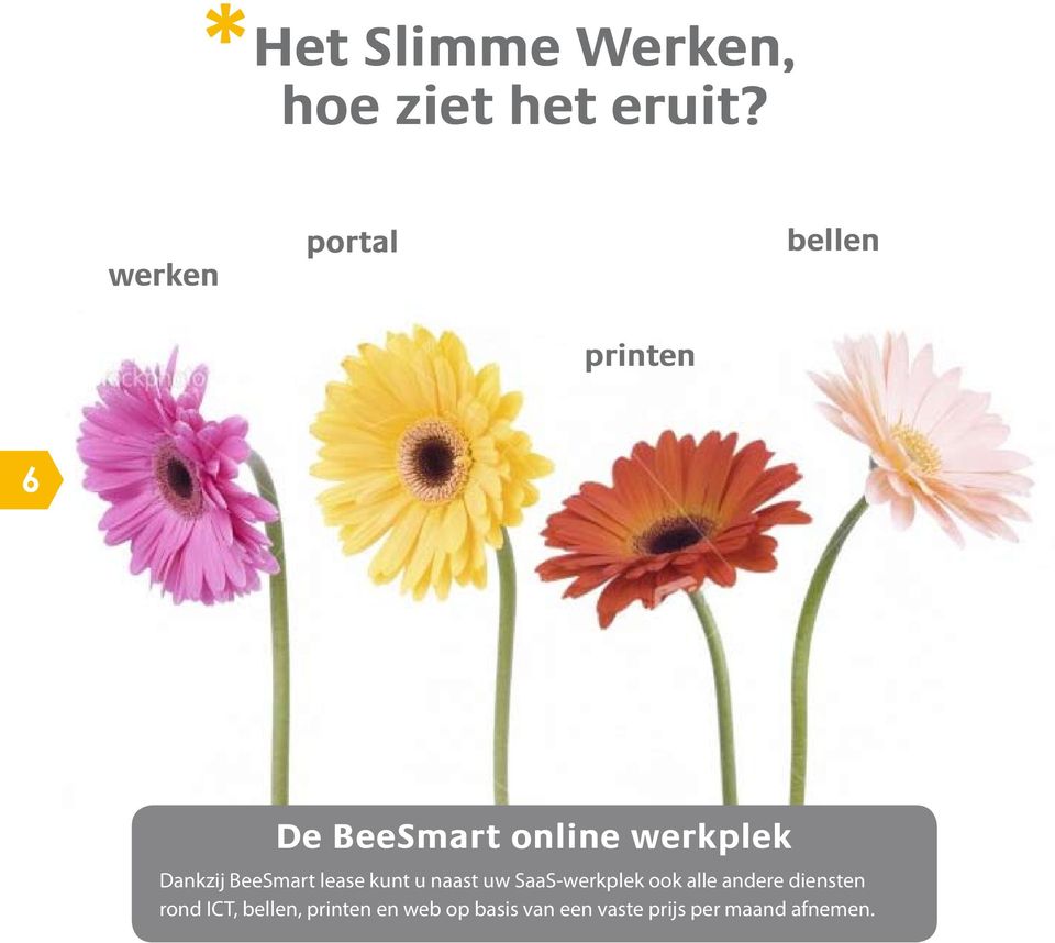 Dankzij BeeSmart lease kunt u naast uw SaaS-werkplek ook alle