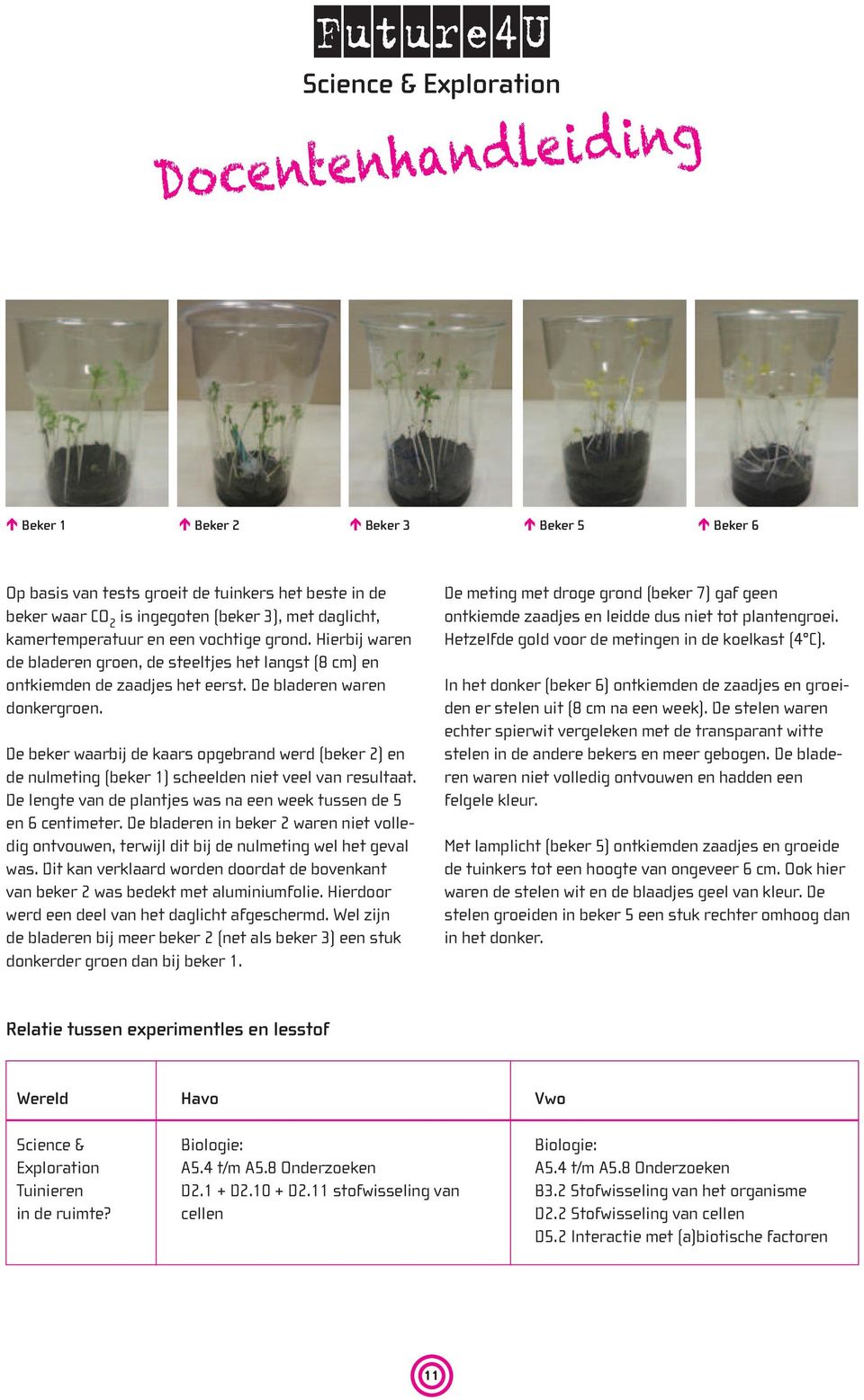 De beker waarbij de kaars opgebrand werd (beker 2) en de nulmeting (beker 1) scheelden niet veel van resultaat. De lengte van de plantjes was na een week tussen de 5 en 6 centimeter.