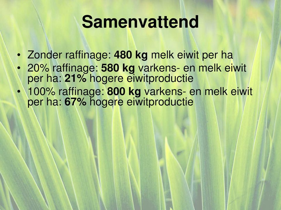 ha: 21% hogere eiwitproductie 100% raffinage: 800 kg