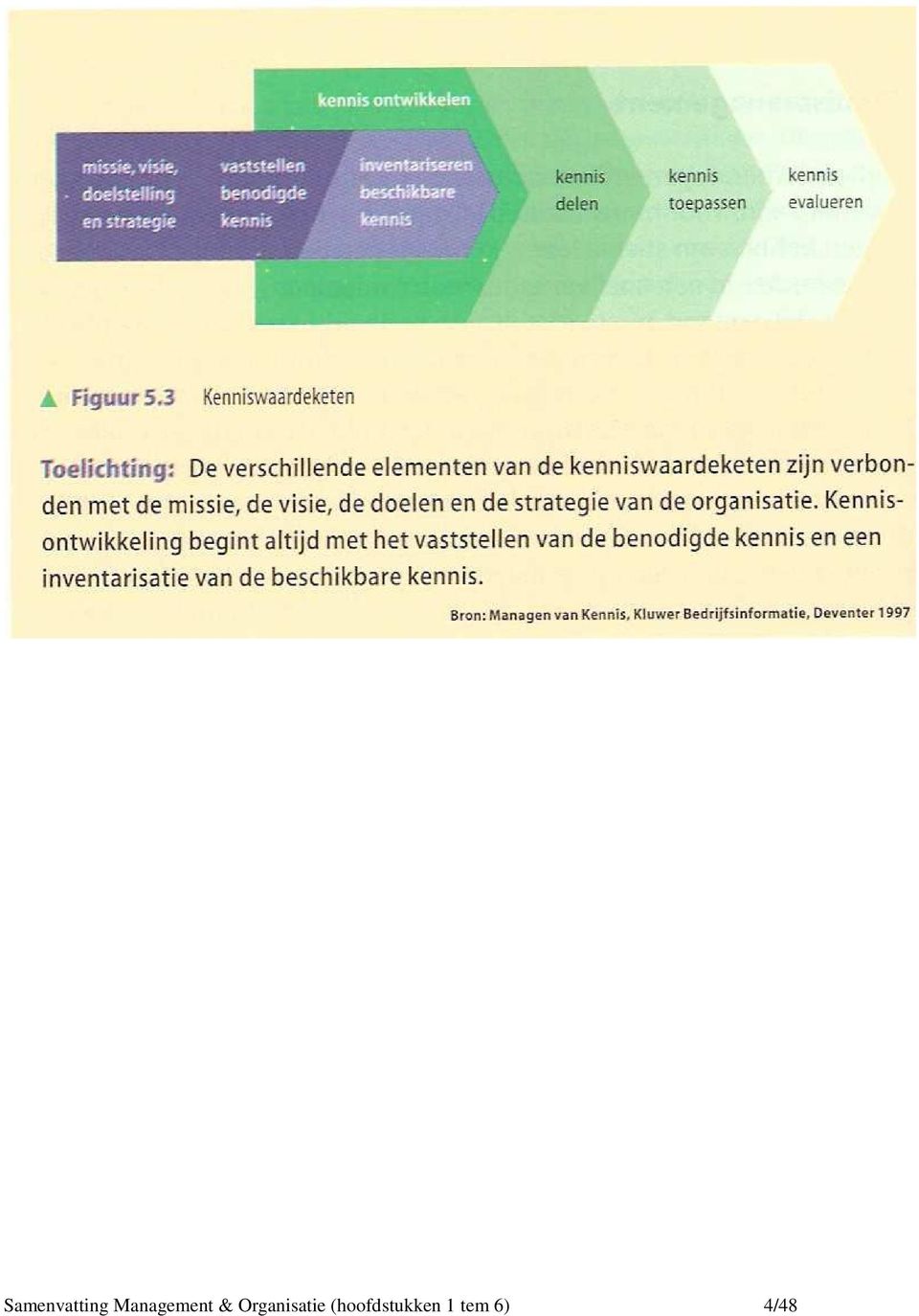 Organisatie