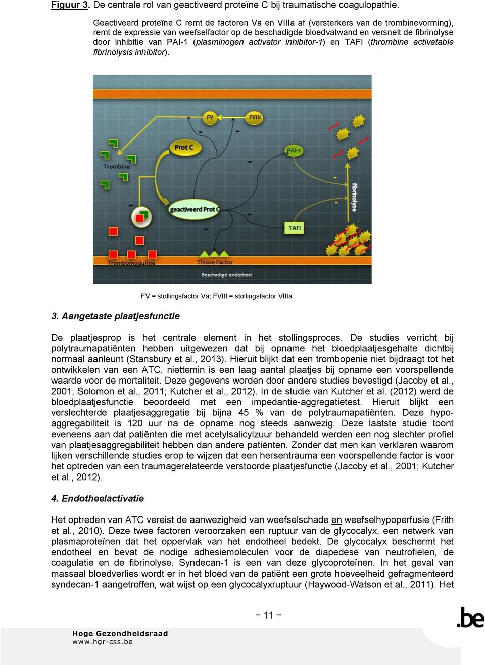 inhibitie van PAI-1 (plasminogen activator inhibitor-1) en TAFI (thrombine activatable fibrinolysis inhibitor). 3.