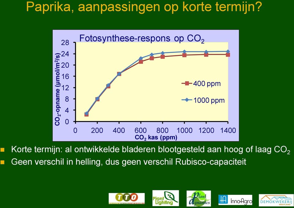 1400 CO 2 kas (ppm) 400 ppm 1000 ppm Korte termijn: al ontwikkelde bladeren