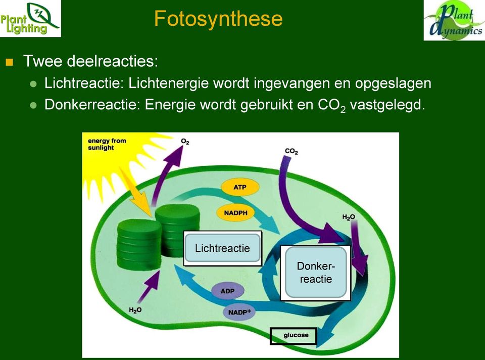 en opgeslagen Donkerreactie: Energie wordt