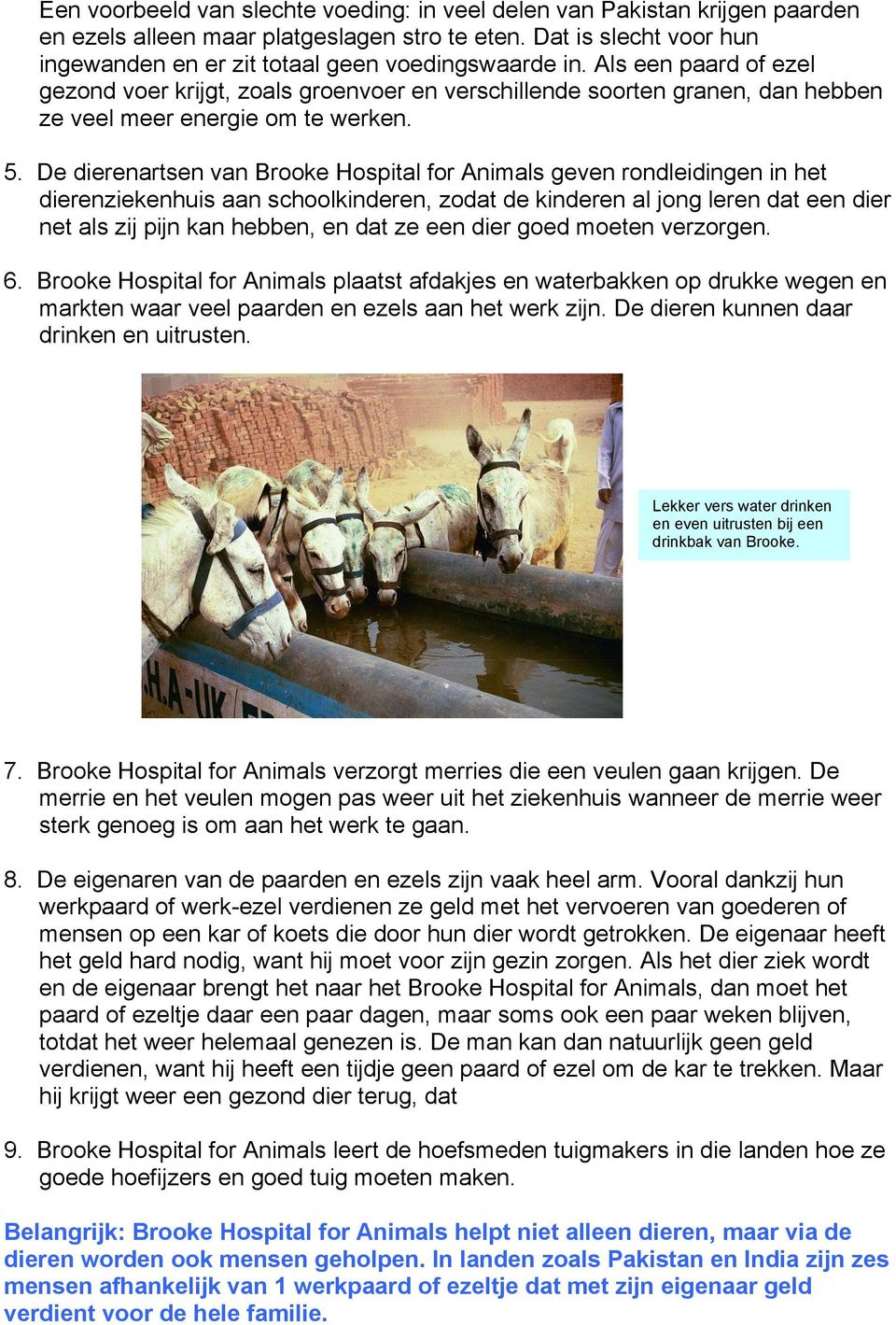 De dierenartsen van Brooke Hospital for Animals geven rondleidingen in het dierenziekenhuis aan schoolkinderen, zodat de kinderen al jong leren dat een dier net als zij pijn kan hebben, en dat ze een