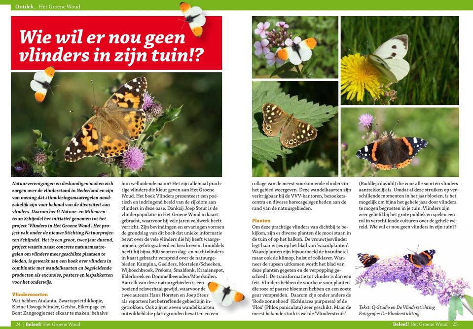 Daarom heeft Natuur- en Milieucentrum Schijndel het initiatief genomen tot het project Vlinders in Het Groene Woud. Het project valt onder de nieuwe Stichting Natuurprojecten Schijndel.